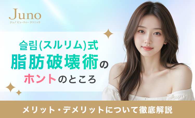 スルリム注射（脂肪破壊術）のホントのところ