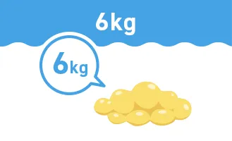 6kg