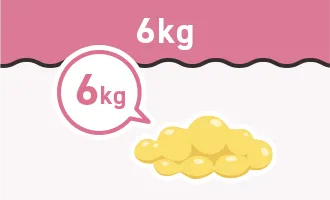 6kg