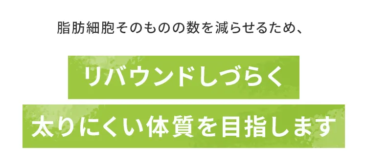 リバウンドしづらく太りにくい体質を目指します