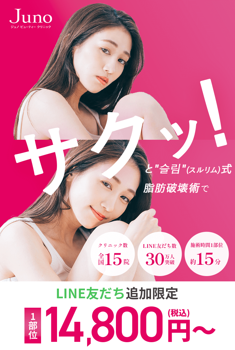 ＂슬림＂（スルリム）式 脂肪破壊術で気になる脂肪をサクッ！と減らす LINE友だち追加限定1部位 14,800円(税込)〜