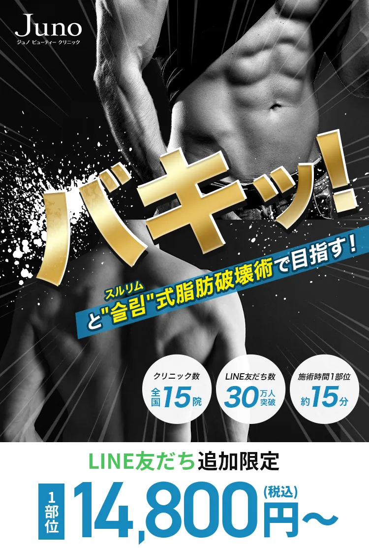 マイナス⚪︎kgをバキッ！と슬림（スルリム）式 脂肪破壊術で目指す