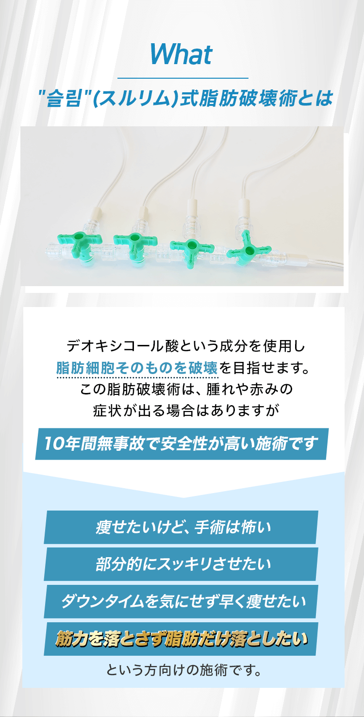 슬림(スルリム)式脂肪破壊術とは