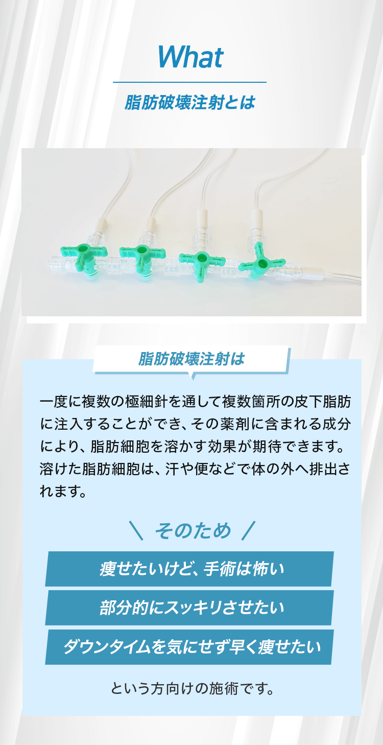脂肪破壊注射とは