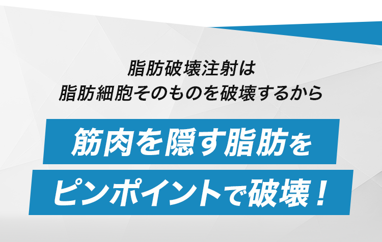 筋肉を隠す脂肪をピンポイントで破壊！