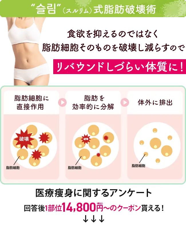 スルリム式脂、肪破壊術。脂肪細胞そのものを破壊して数を減らすからリバウンドしづらい体質に！